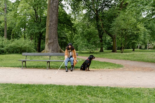 Ultimate Guide to Managing Female Dogs in Heat with Diapers