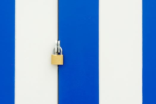 Protect Your Home: How Dog Diapers Safeguard Furniture & Floors