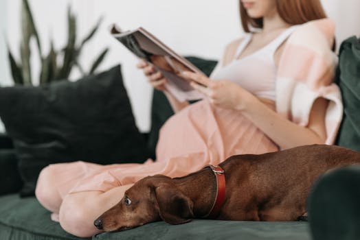 Essential Guide to Using Diapers for Pregnant Dogs: Benefits & Tips
