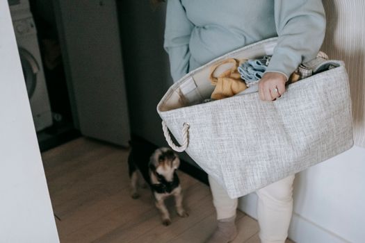 Ultimate Guide to Washing Reusable Dog Diapers for Freshness & Longevity