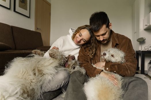 Ultimate Guide to Dog Diapers & Incontinence Care: Tips for Pet Owners